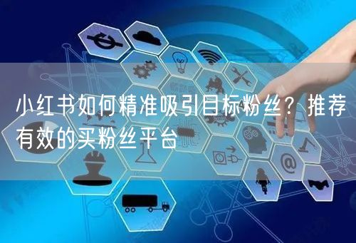 小红书如何精准吸引目标粉丝？推荐有效的买粉丝平台