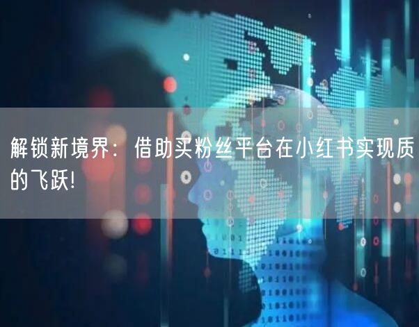 解锁新境界：借助买粉丝平台在小红书实现质的飞跃!