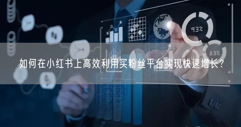 如何在小红书上高效利用买粉丝平台实现快速增长？