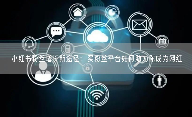 小红书粉丝增长新途径：买粉丝平台如何助力你成为网红
