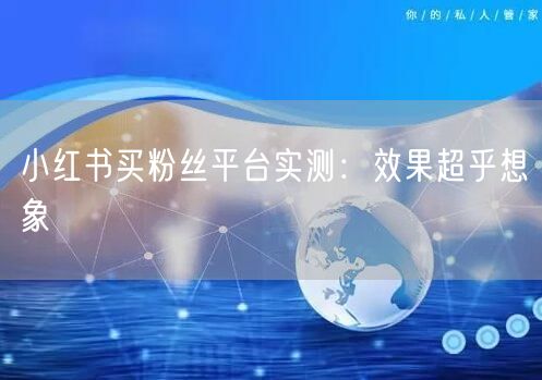 小红书买粉丝平台实测：效果超乎想象