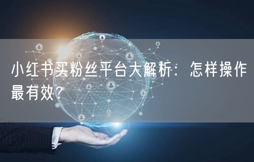 小红书买粉丝平台大解析：怎样操作最有效？