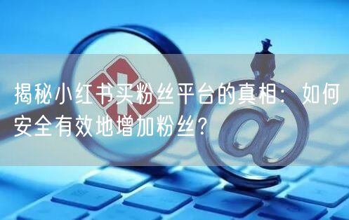 揭秘小红书买粉丝平台的真相：如何安全有效地增加粉丝？