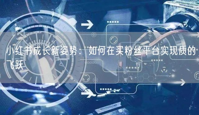 小红书成长新姿势：如何在买粉丝平台实现质的飞跃