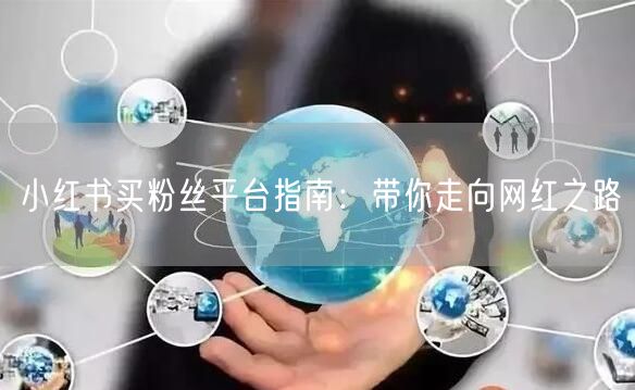 小红书买粉丝平台指南：带你走向网红之路