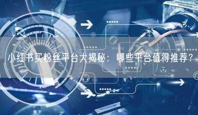 小红书买粉丝平台大揭秘：哪些平台值得推荐？