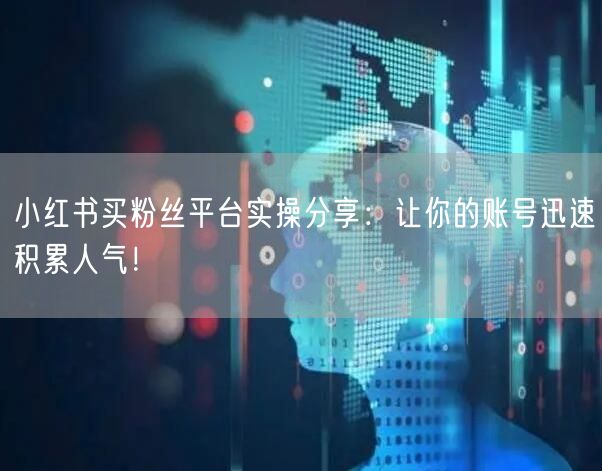 小红书买粉丝平台实操分享：让你的账号迅速积累人气！