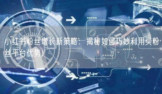 小红书粉丝增长新策略：揭秘如何巧妙利用买粉丝平台优势！