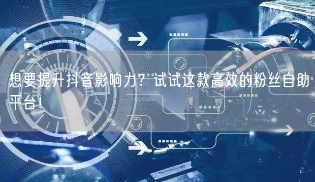 想要提升抖音影响力？试试这款高效的粉丝自助平台！