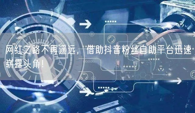 网红之路不再遥远，借助抖音粉丝自助平台迅速崭露头角！