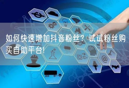 如何快速增加抖音粉丝？试试粉丝购买自助平台!