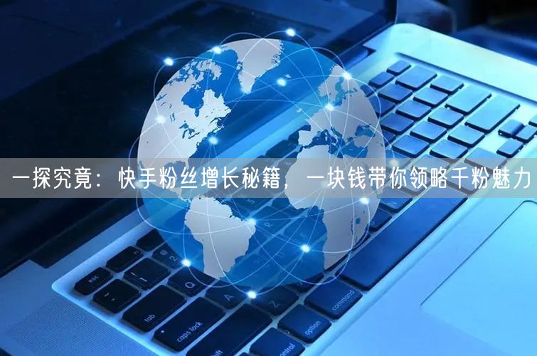 一探究竟：快手粉丝增长秘籍，一块钱带你领略千粉魅力