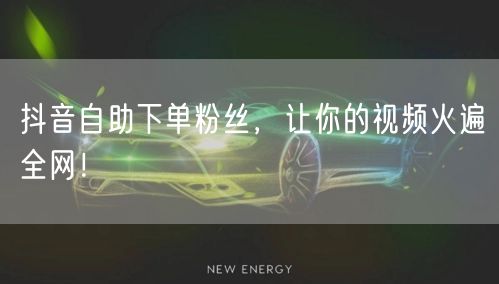 抖音自助下单粉丝，让你的视频火遍全网！