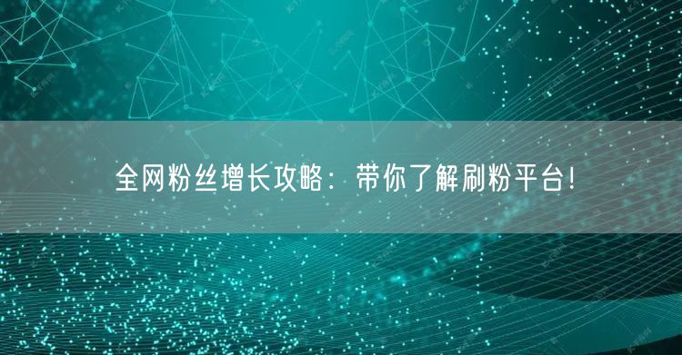 全网粉丝增长攻略：带你了解刷粉平台！