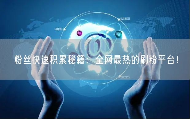 粉丝快速积累秘籍：全网最热的刷粉平台！