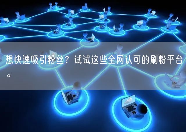 想快速吸引粉丝？试试这些全网认可的刷粉平台。