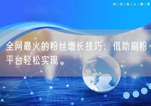 全网最火的粉丝增长技巧：借助刷粉平台轻松实现。