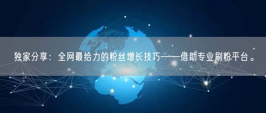 独家分享：全网最给力的粉丝增长技巧——借助专业刷粉平台。