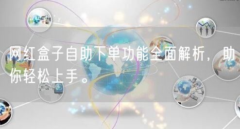 网红盒子自助下单功能全面解析，助你轻松上手。