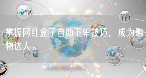 掌握网红盒子自助下单技巧，成为购物达人。