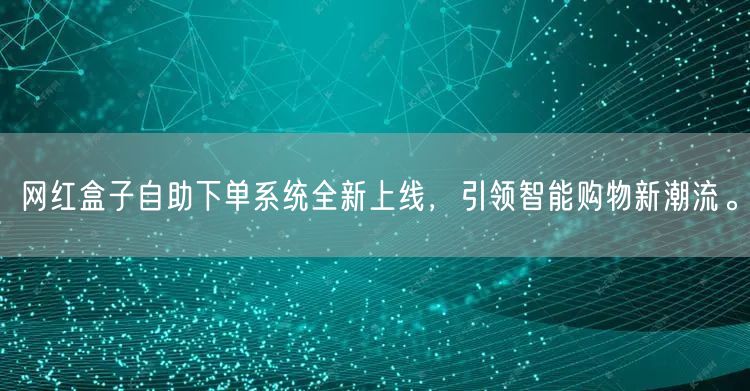 网红盒子自助下单系统全新上线，引领智能购物新潮流。