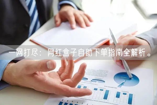 一网打尽：网红盒子自助下单指南全解析。