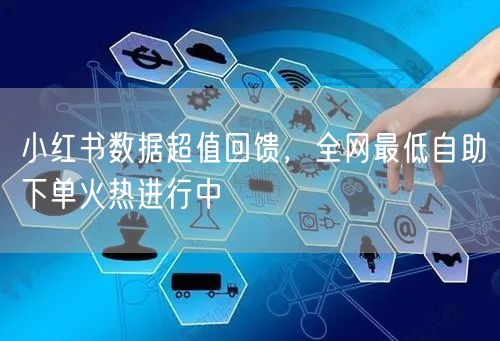 小红书数据超值回馈，全网最低自助下单火热进行中
