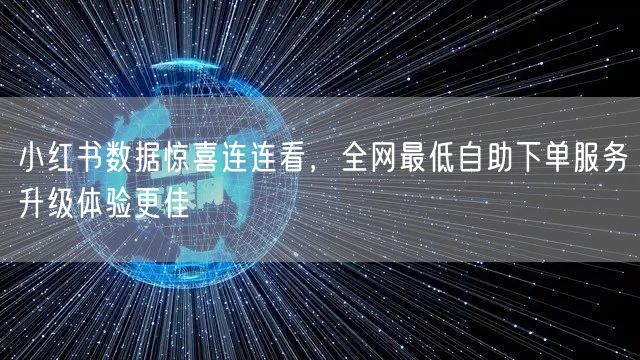 小红书数据惊喜连连看，全网最低自助下单服务升级体验更佳