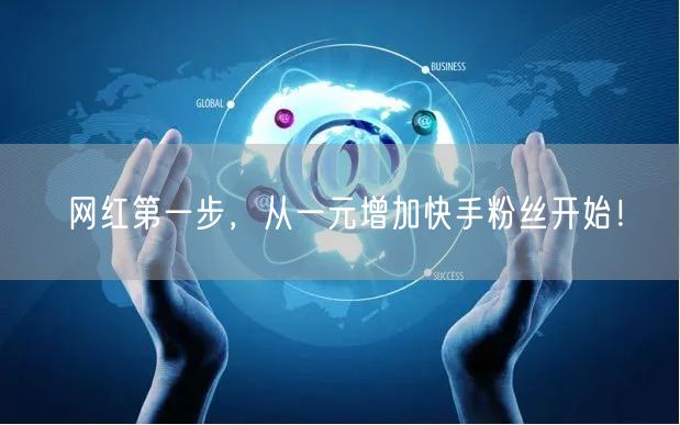 网红第一步,从一元增加快手粉丝开始!