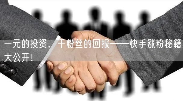 一元的投资,千粉丝的回报——快手涨粉秘籍大公开!